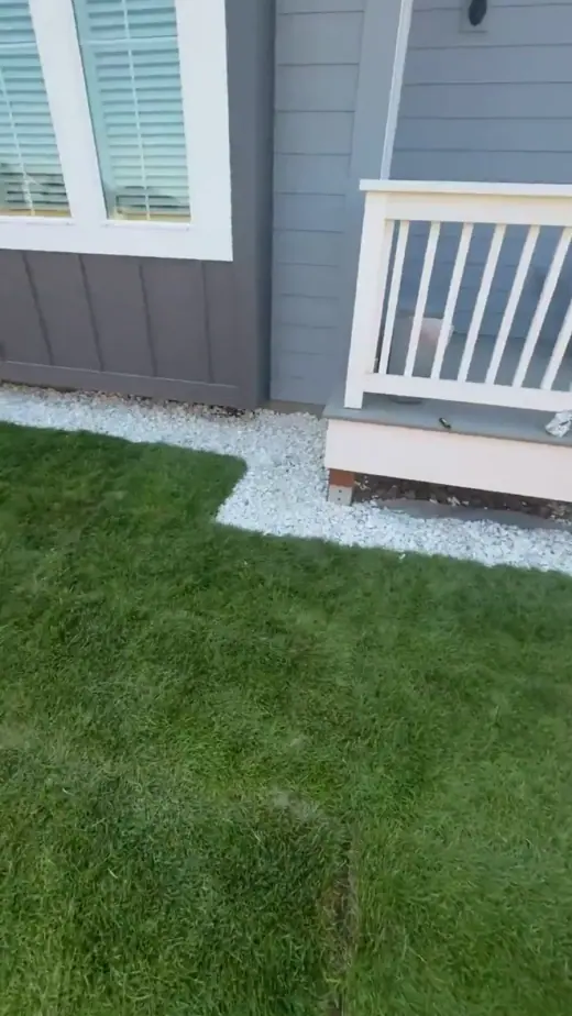 New sod lawn along a side fence, A & M Contracting